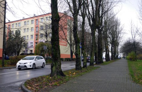 Jedni mieszkańcy chcą parkingu, a inni drzew. Będzie wycinka na północy Katowic