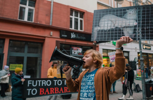 Protest w Katowicach przeciwko wykorzystywaniu zwierząt na futra