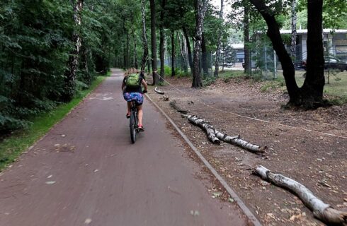 Kierowcy rozjeżdżają nowe drogi rowerowe, a miasto stawia słupki i układa pnie brzozy