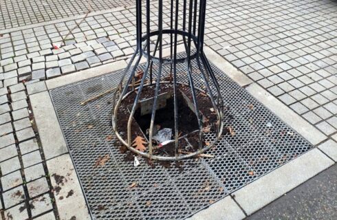 W centrum Katowic ktoś ukradł drzewo. Rosło tam tylko kilkanaście dni