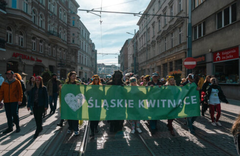 “Najlepsze stare drzewa zostały wycięte i weszła deweloperka”. Przez centrum Katowic przeszedł I Marsz Śląskiej Przyrody.