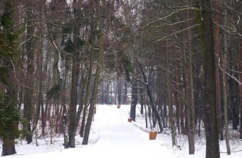 Dzień dobry Katowice. Na Muchowcu powstaje park linowy