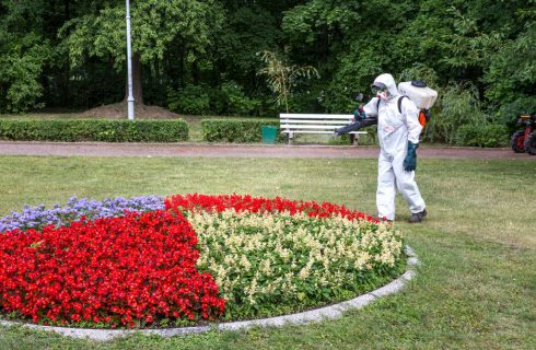 W Katowicach zostanie przeprowadzona akcja przeciwko komarom i kleszczom