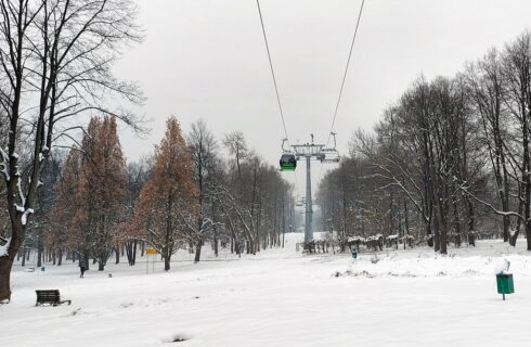 Dzień dobry Katowice. Szykuje się wycinka w Parku Śląskim