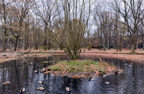 Dzień dobry Katowice. Inwestor coraz bliżej budowy mieszkań przy Parku Kościuszki