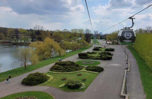 Dzień dobry Katowice. W Parku Śląskim trzeba będzie wyciąć wiele drzew