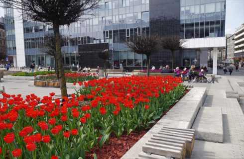 Dzień dobry Katowice. Dzisiaj decyzja w sprawie budynku mieszkalnego w Borkach