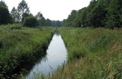 Mieszkańcy południa Katowic podzieleni w sprawie ochrony doliny rzeki