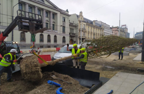 Na ul. Warszawskiej rozpoczęło się sadzenie drzew