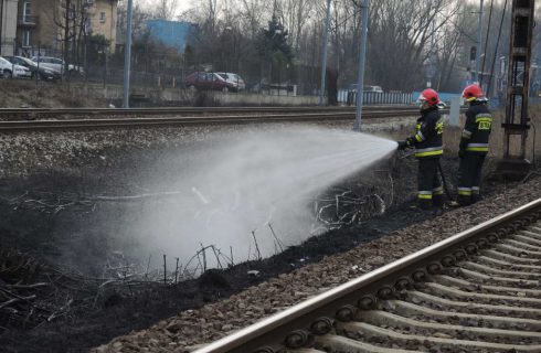 Pożar przy wiadukcie w Piotrowicach