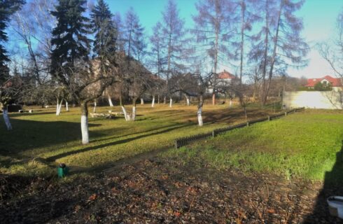 Nowe boisko zamiast ogrodu parafii na południu Katowic