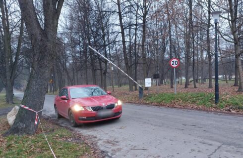 Zmiany w Parku Śląskim. Tablice z liczbą miejsc parkingowych, nowe szlabany, wjazdy i dodatkowy punkt poboru opłat