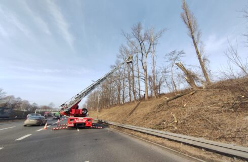 Strażacy wycięli drzewa przy autostradzie A4