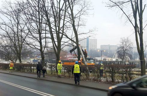 Wycinka drzew obok Legendii. Powstaną parkingi