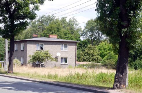 Miasto chce wyciąć kilkadziesiąt drzew. Mieszkańcy sprawdzili rośliny i niektóre można uratować