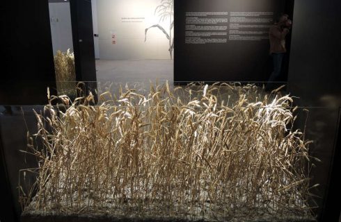 Było sobie życie człowieka i roślin. Nowa wystawa w nowym budynku Muzeum Śląskiego