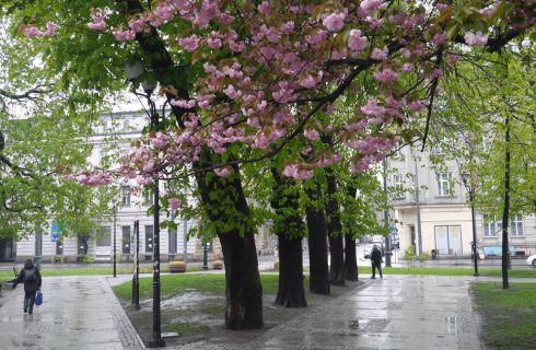 Dzień dobry Katowice. Zaczyna się długi weekend