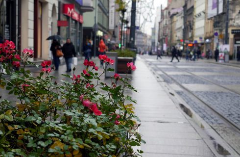 Dzień dobry Katowice. Po raz kolejny można wynająć mieszkanie w zamian za remont