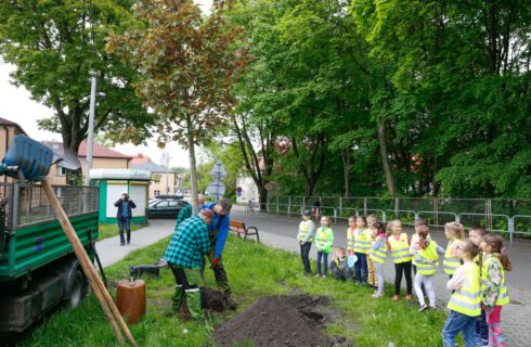 Rusza kolejna edycja akcji wCOP drzewo. Mieszkańcy wskażą miejsca, w których miasto posadzi drzewa