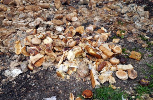 Setki kilogramów chleba wyrzucone w lesie w pobliżu Katowic